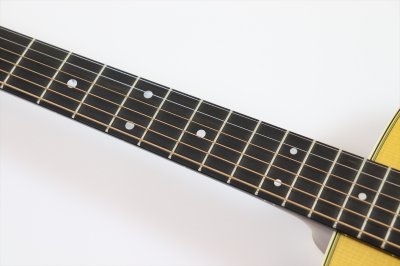 画像9: Martin　Standard Series D-28 (2025)