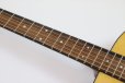 画像9: Martin　Road Series D-10E Retro (9)