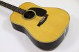 画像8: Martin　Standard Series D-28 (2025) (8)
