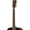 画像3: YAMAHA　FG830 TBS (3)