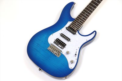 画像3: GrassRoots　G-SNAPPER-CTM See Thru Blue Sunburst