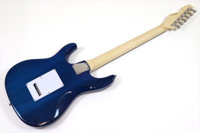 画像5: GrassRoots　G-SNAPPER-CTM See Thru Blue Sunburst