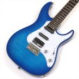 画像1: GrassRoots　G-SNAPPER-CTM See Thru Blue Sunburst (1)