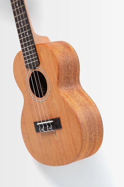 画像4: KALA　James Hill Signature Solid Top Mahogany Concert Ukulele KA-JH-MHG-C