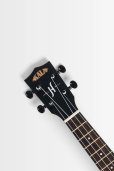 画像5: KALA　James Hill Signature Solid Top Mahogany Concert Ukulele KA-JH-MHG-C (5)