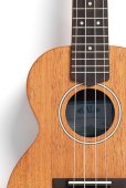画像3: KALA　James Hill Signature Solid Top Mahogany Concert Ukulele KA-JH-MHG-C (3)