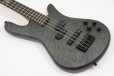 画像8: Spector　NS Pulse 4 II Black Stain Matte 【新品アウトレット】 (8)