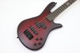 画像3: Spector　NS Pulse 4 II Black Cherry Matte 【新品アウトレット】 (3)