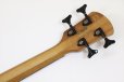 画像7: Spector　NS Pulse 4 II Black Cherry Matte 【新品アウトレット】 (7)