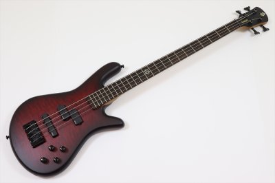画像2: Spector　NS Pulse 4 II Black Cherry Matte 【新品アウトレット】