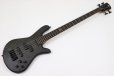 画像2: Spector　NS Pulse 4 II Black Stain Matte 【新品アウトレット】 (2)
