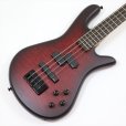 画像1: Spector　NS Pulse 4 II Black Cherry Matte 【新品アウトレット】 (1)