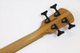 画像7: Spector　NS Pulse 4 II Black Stain Matte 【新品アウトレット】 (7)