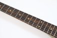 画像9: Fender　Vintera III Early '60s Stratocaster, Rosewood Fingerboard, Seafoam Green (9)