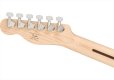 画像6: Squier by Fender　Affinity Series Telecaster 3-Color Sunburst (6)