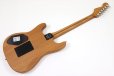 画像5: Fender　American Acoustasonic Stratocaster 3-Color Sunburst (5)