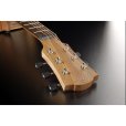 画像7: LAG Guitars　Tramontane T70TE-NAT (7)