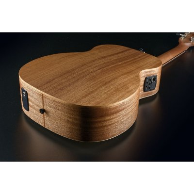 画像5: LAG Guitars　Tramontane T70TE-NAT