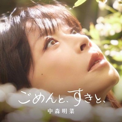画像1: 中森明菜 / ごめんと、すきと、