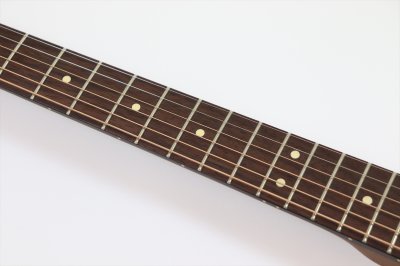 画像9: Fender　Limited Edition Acoustasonic Standard Telecaster, Arctic Gold