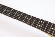 画像9: Fender　75th Anniversary Player II Telecaster, Rosewood Fingerboard. Daphne Blue (9)