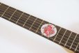 画像10: Fender　Monster Hunter Rathalos Telecaster, Rosewood Fingerboard, Rathalos Red (10)