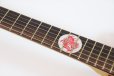 画像10: Fender　Monster Hunter Rathalos Telecaster, Rosewood Fingerboard, Rathalos Red (10)