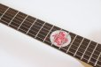 画像10: Fender　Monster Hunter Rathalos Telecaster, Rosewood Fingerboard, Rathalos Red (10)