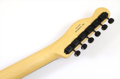 画像8: Fender　Monster Hunter Rathalos Telecaster, Rosewood Fingerboard, Rathalos Red