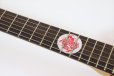 画像10: Fender　Monster Hunter Rathalos Telecaster, Rosewood Fingerboard, Rathalos Red (10)
