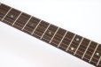 画像9: Sfida（スフィーダ）　SST-900 Black Burst (9)