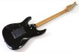 画像5: Sfida（スフィーダ）　SST-900 Black Burst (5)