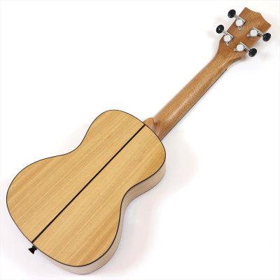 画像4: KALA　Exotic Mahogany Concert Ukulele KACEM-WBAG20_06