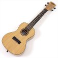 画像1: KALA　Exotic Mahogany Concert Ukulele KACEM-WBAG20_06 (1)