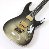 Edwards　E-HORIZON-CTM 50TH Ash Black Burst