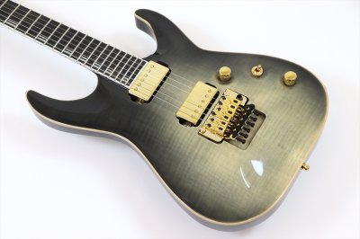 画像8: Edwards　E-HORIZON-CTM 50TH Ash Black Burst