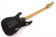 画像5: Sfida（スフィーダ）　SST-900 Black Burst (5)