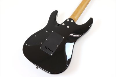 画像6: Sfida（スフィーダ）　SST-900 Black Burst