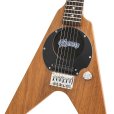 画像4: Pignose　スピーカー内臓ミニギター PGG-200V STBR 【ヘッドフォン付き】 (4)