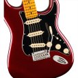 画像4: Fender　American Professional Stratocaster, Maple Fingerboard, Oxblood (4)