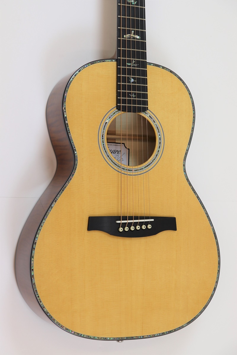 PRS (Paul Reed w Gold Parlor Black [CTC P50E SE Smith) F25302