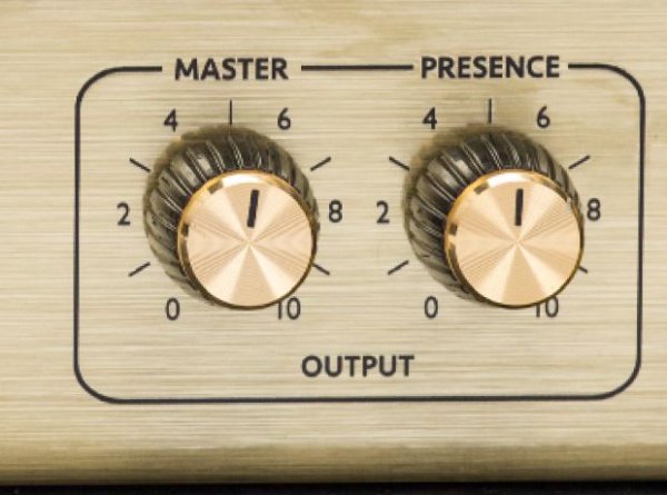 画像7: Marshall Origin Series ORIGIN50H (7)