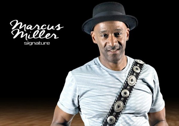 画像4: Markbass Little Marcus 800 (4)