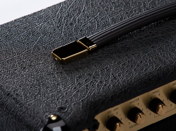 画像6: Marshall Studio Classic SC20C (6)