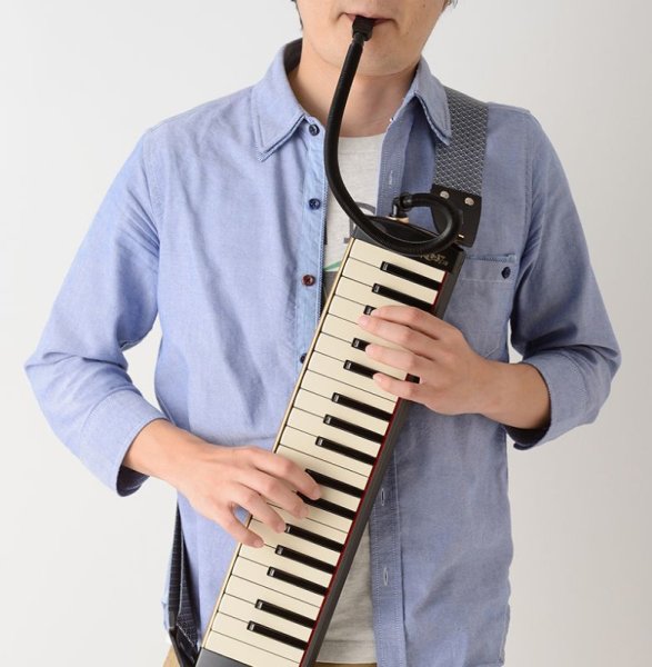 画像5: SUZUKI メロディオン アルト PRO-37V3 (5)