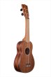 画像1: KALA　SOLID MAHOGANY SOPRANO KA-SMHS クリップ式チューナー付き！ (1)