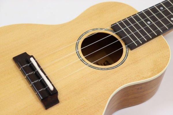 画像9: VOX コンサート・ウクレレ VUP-33-CSM (9)