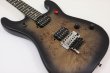 画像8: EVH　5150 Series Deluxe Poplar Burl Black Burst (8)