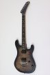 画像1: EVH　5150 Series Deluxe Poplar Burl Black Burst (1)