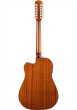 画像3: Fender　CD-60SCE Dreadnought 12-String (3)